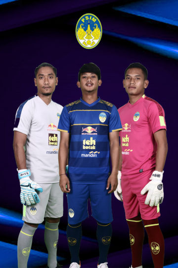 psim 16 -9